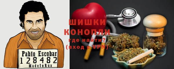 spice Алзамай