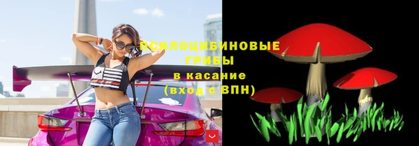 первитин Алексеевка