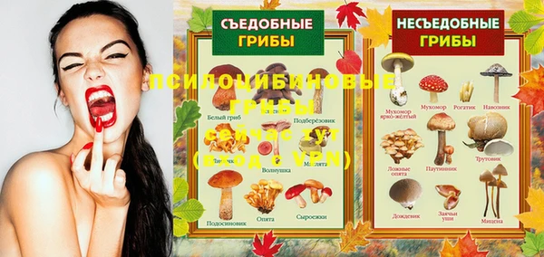 первитин Алексеевка