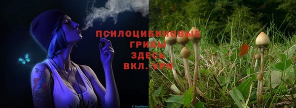мяу мяу мука Карталы