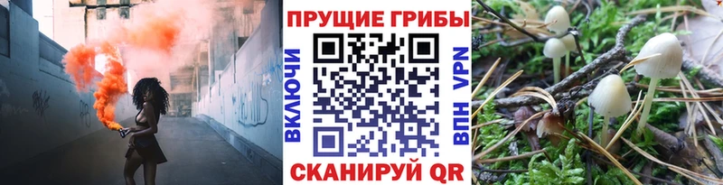 ОМГ ОМГ онион  Навашино  Галлюциногенные грибы прущие грибы 